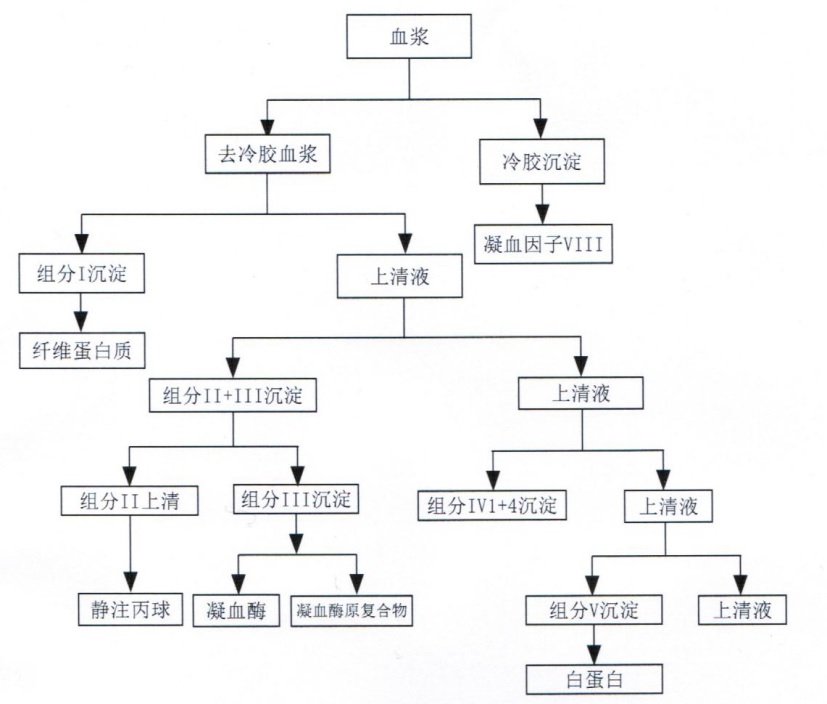 主要血液制品生产流程图